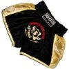 Booster Muay Thai Short TBT Pro 4.4 Zwart Goud Kickboks Broekje