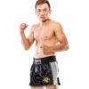 Booster Thaiboks Shorts TBT Pro 4.31 Kickboks Muay Thai Kleding