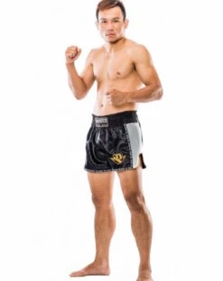 Booster Thaiboks Shorts TBT Pro 4.31 Kickboks Muay Thai Kleding -TRADE INN booster booster thaiboks shorts tbt pro 431 kickbo 2